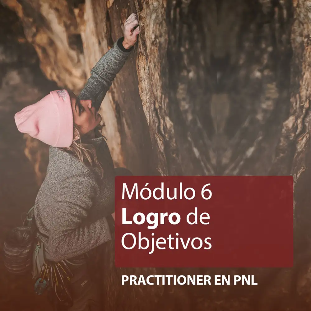 Módulo 6: Logro de Objetivos