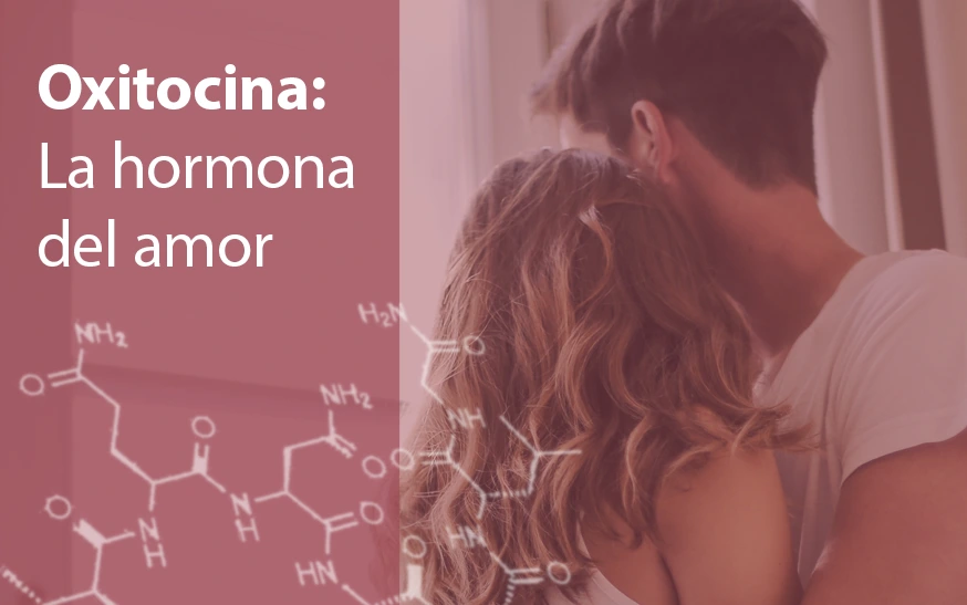 Oxitocina: La hormona del amor