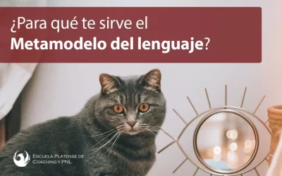 ¿Para qué te sirve el Metamodelo del Lenguaje?