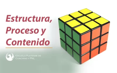 Estructura, Proceso y Contenido
